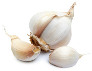 Garlic Bulb showing individual Cloves of Garlic